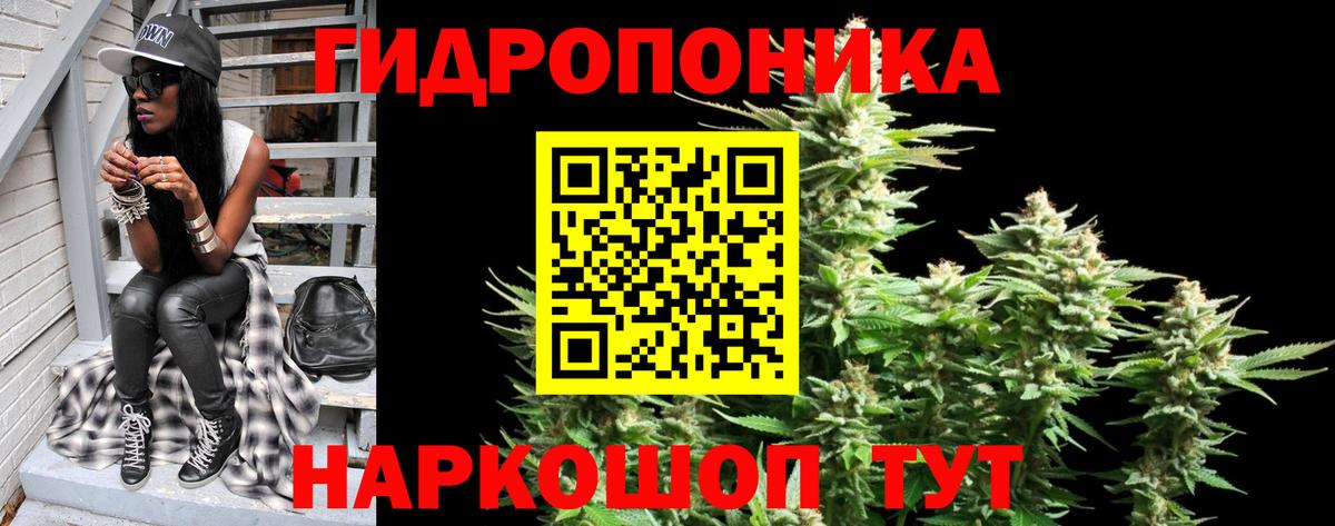 Марихуана Bruce Banner  Канабис Bruce Banner  Шишки марихуана сатива  Вход с VPN  Саратов 